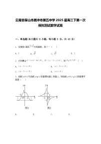 云南省保山市腾冲市第五中学2025届高三下第一次模拟测试数学试题（含答案解析）