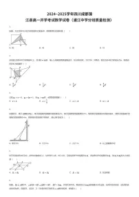 2024~2025学年四川成都蒲江县高一上开学考试数学试卷(浦江中学入学分班质量检测)(有答案解析)