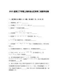 2025届高三下学期上海市宝山区高考二模数学试卷（含答案解析）