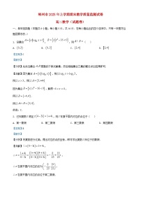 湖南省郴州市2024_2025学年高二数学下学期期末教学质量监测试卷解析版