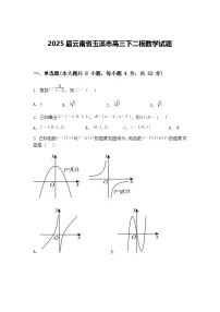 2025届云南省玉溪市高三下二模数学试题（含答案解析）