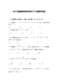 2025届湖南省郴州市高三下三模数学试题（含答案解析）