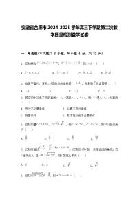 安徽省合肥市2024-2025学年高三下学期第二次教学质量检测数学试卷（含答案解析）