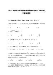 2025届贵州省黔东南苗族侗族自治州高三下模拟统测数学试题（含答案解析）