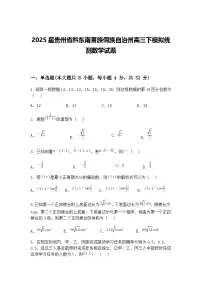 2025届贵州省黔东南苗族侗族自治州高三下模拟统测数学试题（含答案解析）