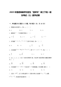 2025年普通高等学校招生“圆梦杯”高三下统一模拟考试（七）数学试卷（含答案解析）