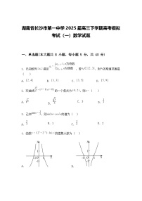 湖南省长沙市第一中学2025届高三下学期高考模拟考试（一）数学试题（含答案解析）