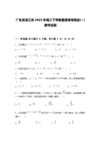 广东省湛江市2025年高三下学期普通高考测试(一)数学试题（含答案解析）
