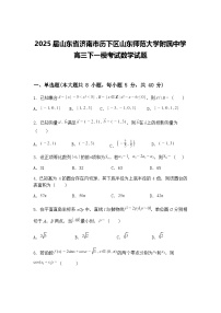 2025届山东省济南市历下区山东师范大学附属中学高三下一模考试数学试题（含答案解析）