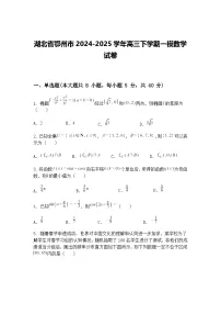 湖北省鄂州市2024-2025学年高三下学期一模数学试卷（含答案解析）