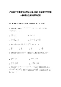 广东省广州市真光中学2024-2025学年高三下学期一模适应性考试数学试题（含答案解析）