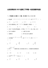山东省泰安市2025届高三下学期一轮检测数学试题（含答案解析）