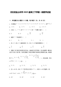河北省盐山中学2025届高三下学期一模数学试题（含答案解析）
