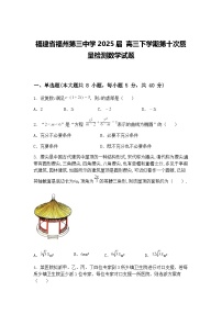 福建省福州第三中学2025届 高三下学期第十次质量检测数学试题(含答案解析)