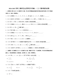 2024-2025学年上海市宝山区罗店中学高一(上)期中数学试卷(含解析)
