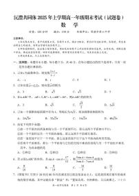 湖南省沅澧共同体2024-2025学年高一下学期期末考试数学试卷