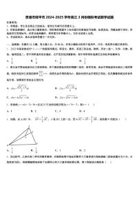贵港市桂平市2024-2025学年高三3月份模拟考试数学试题含解析