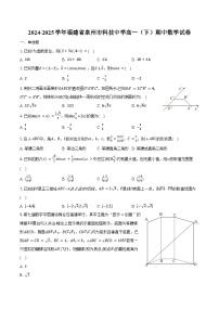 2024-2025学年福建省泉州市科技中学高一（下）期中数学试卷（含答案）