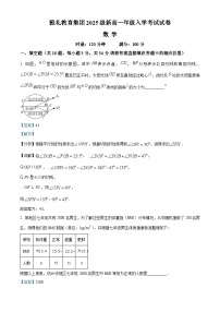 湖南省长沙市雅礼教育集团2025-2026学年高一上学期入学考试数学试题（Word版附解析）