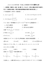 河南省平顶山市叶县高级中学2024-2025学年高一上学期期中数学预考试卷