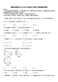 成都市金堂县2024-2025学年高三下学期一模考试数学试题含解析