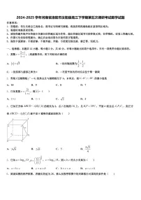 2024-2025学年河南省洛阳市汝阳县高三下学期第五次调研考试数学试题含解析
