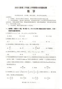 湖北省武汉市武昌区2025届高三年级上学期期末质量检测数学试卷