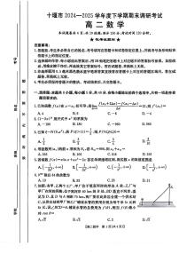 湖北省十堰市 2024-2025学年度高二下学期期末调研考试数学试卷+答案