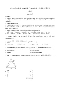 四川省绵阳市南山中学2026届高三上学期第二次教学质量检测数学试卷（Word版附解析）