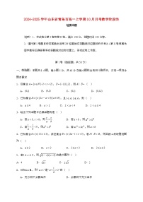 2024_2025学年山东青岛高一上学期（10月）月考数学阶段性试题[有答案]