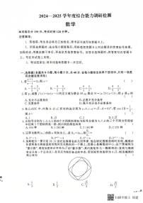 河南省周口市商水县2024-2025学年高三上学期综合能力调研检测（期中）数学试卷