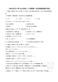 上海市进才中学2026届高三上学期第一次阶段测试数学试卷（含答案）