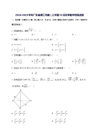 2024—2025学年度广东省湛江市高二上学期10月月考数学试题