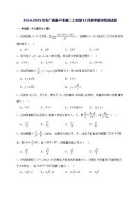 2024—2025学年度广西南宁市高二上学期（12月）联考数学试题[含解析]