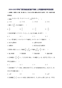 2024—2025学年度广西壮族自治区南宁市高二上学期期中数学试题[含解析]