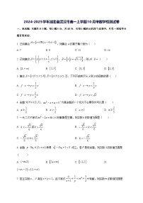 2024—2025学年度湖北省武汉市高一上学期10月考数学试题