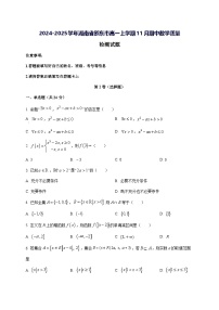 2024—2025学年度湖南省邵东市高一上学期11月（期中）数学试题