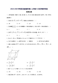 2024—2025学年度四川省成都市高二上学期（12月）月考数学试题[含解析]