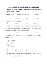 2024—2025学年度四川省成都市高二上学期中数学适应性考试试题[含解析]