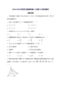 2024—2025学年度浙江省湖州市高二上学期（12月）月考数学试题[含解析]