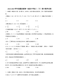 2024-2025学年西藏昌都第一高级中学高二（下）期中数学试卷（含解析）