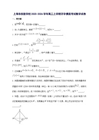 上海市实验学校2025^2026学年高三上学期开学摸底考试数学试题[有答案]