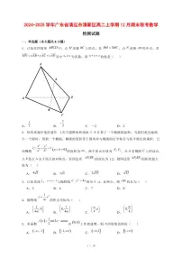 2024~2025学年广东省清远市清新区高二上学期12月期末联考数学试题【有解析】