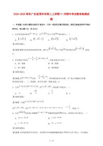2024~2025学年广东省深圳市高二上学期（11月）期中考试数学试卷【有解析】