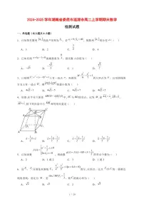 2024~2025学年湖南省娄底市涟源市高二上学期期末数学试卷【有解析】
