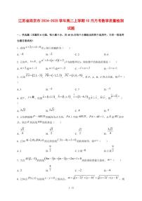 江苏省南京市2024~2025学年高二上学期（10月）月考数学测试卷