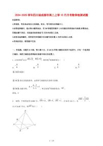 2024~2025学年四川省成都市高二上学（10月）月考数学测试卷（附解析）