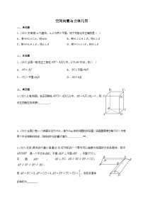 2025年高考数学真题第一轮专项练习：空间向量与立体几何（含解析）
