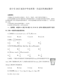 广西南宁市金太阳2025届高三上学期1月第一次模考-数学试题（含答案）