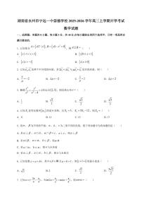 2025~2026学年湖南省永州市宁远一中崇德学校高三上册开学考试数学试卷【含解析】